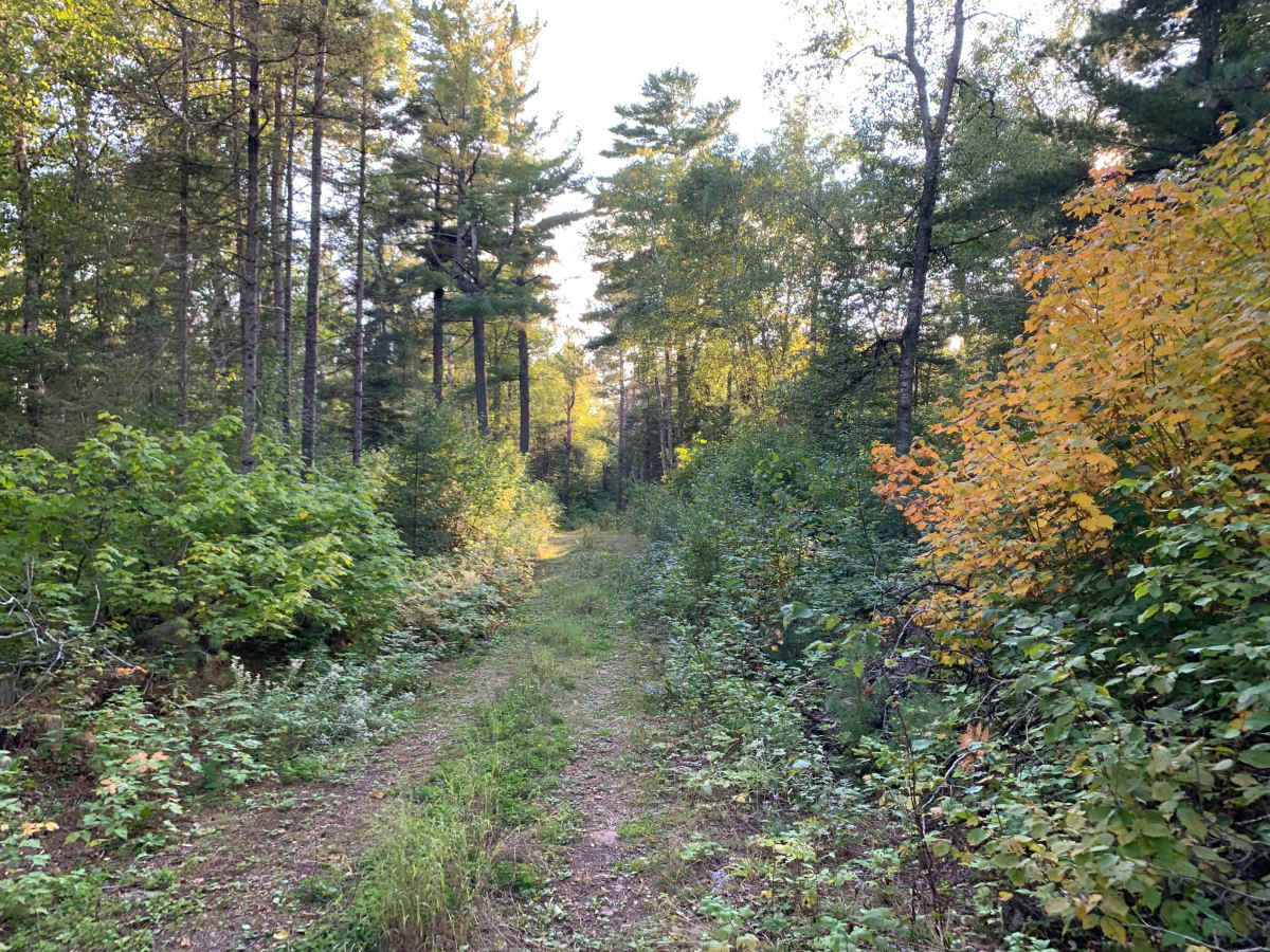 Wanless Spur H Trail - FS 172H photo 6