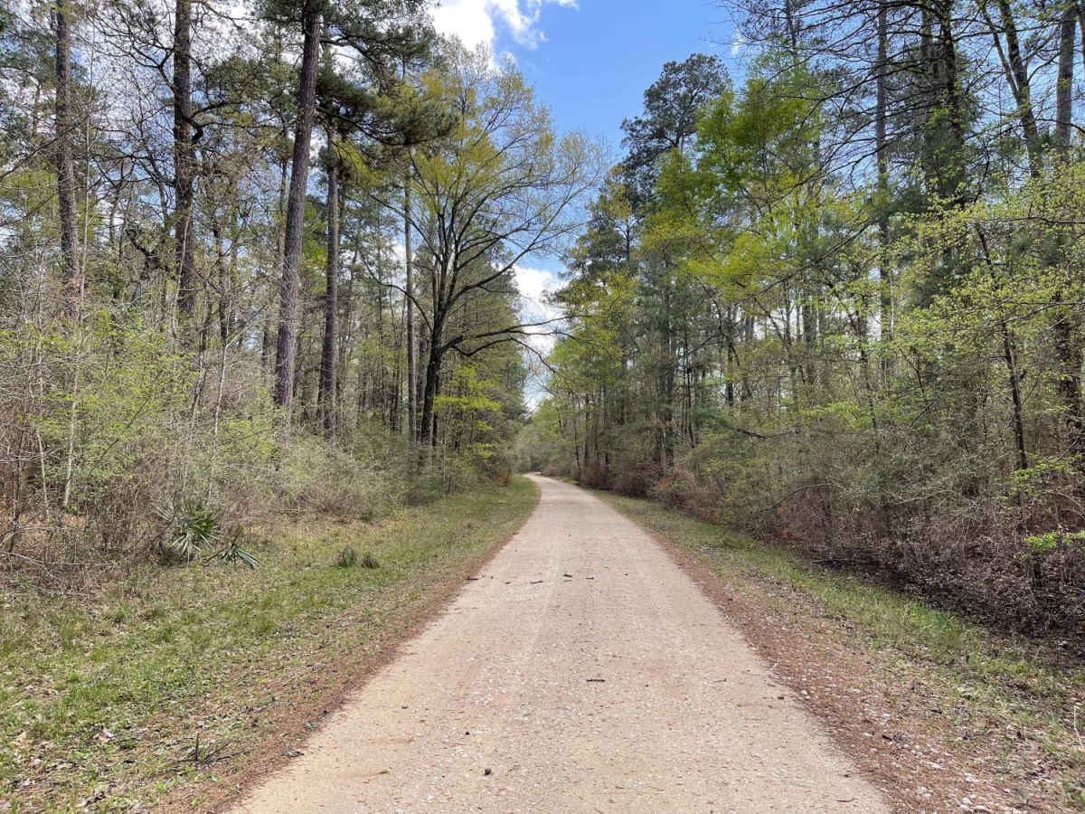 Phelps Road trail photo