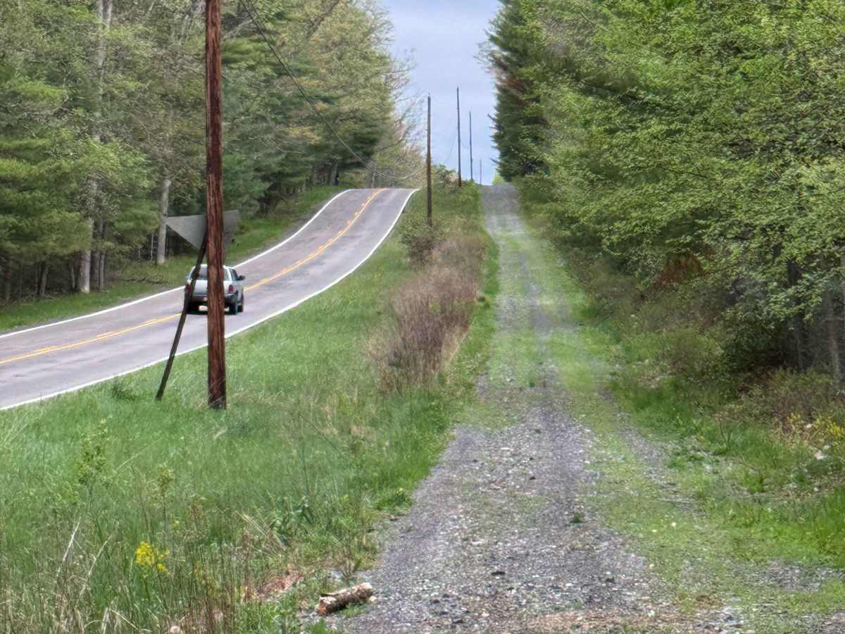 Coudy Pike Trail photo 6