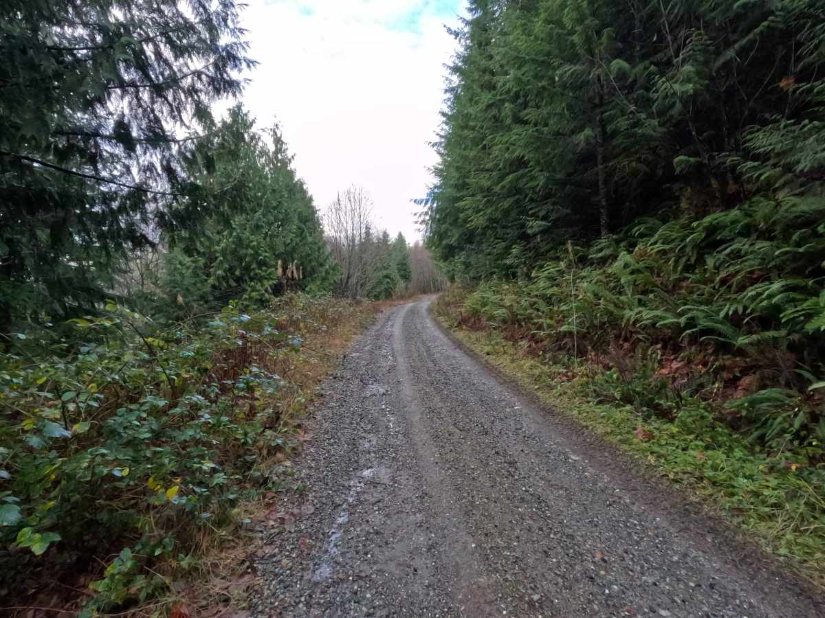 Dan's Creek - FS 24 photo 5