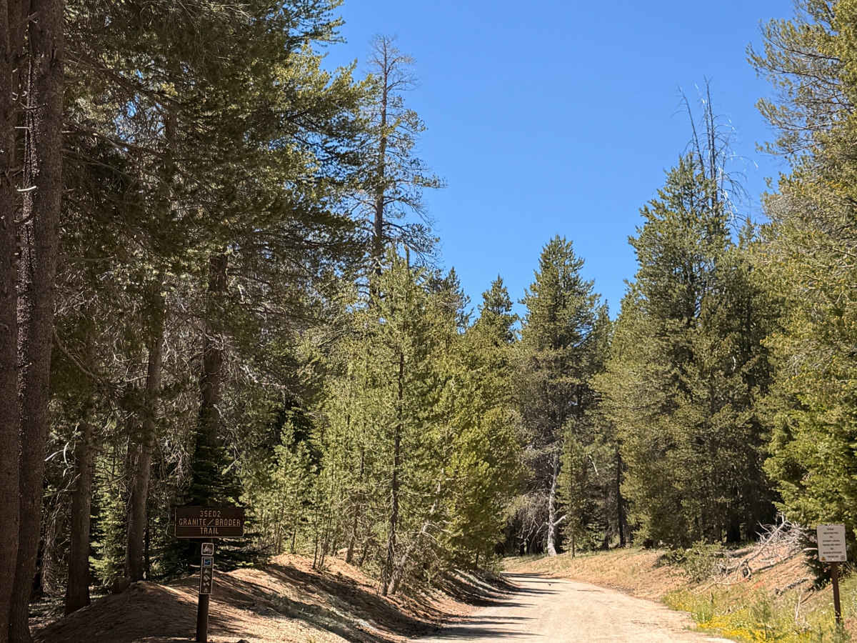 FS 20S22 trail photo