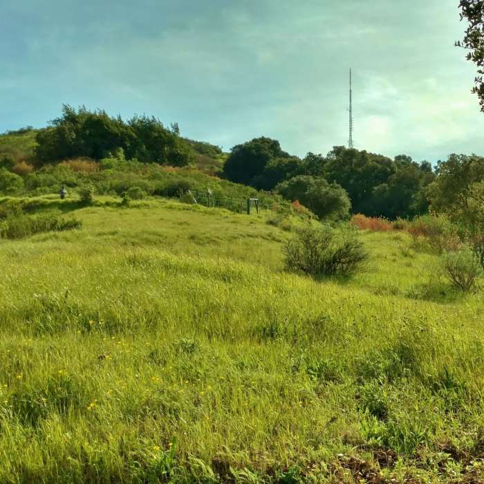 Climbing to Coyote Peak on its namesake trail, enjoy lush green grasses and pleasant views. Near Coyote Peak Trail