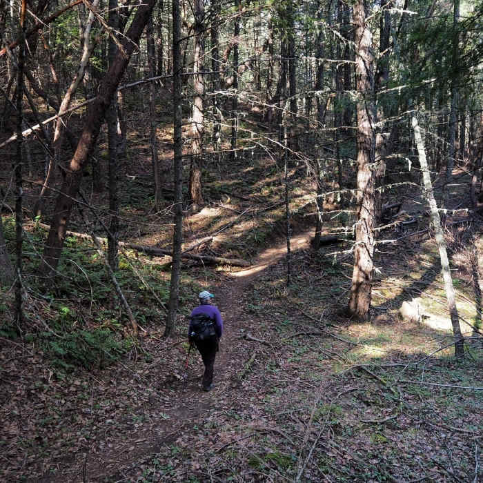 Near Arrowhead Pass Trail