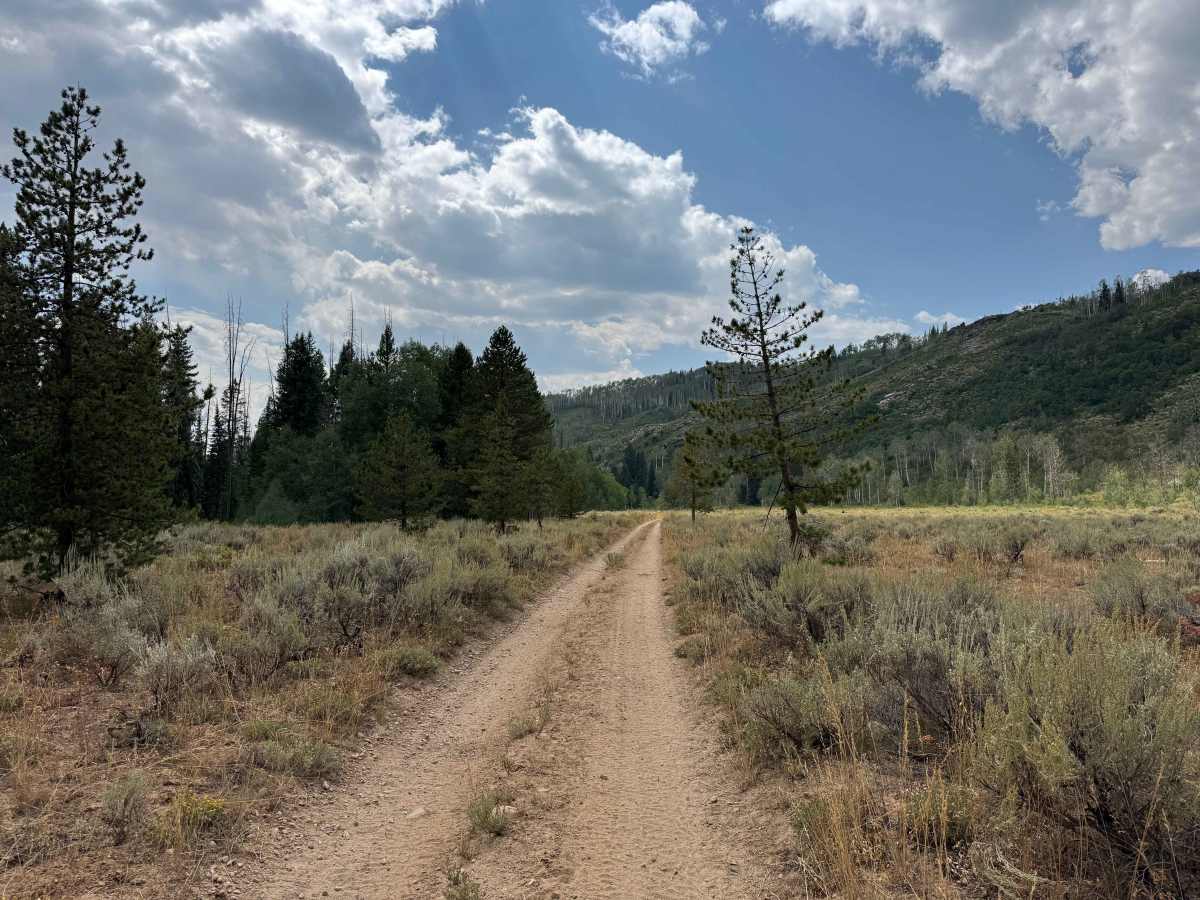 Bowes Spur Road - FS 471.1B trail photo