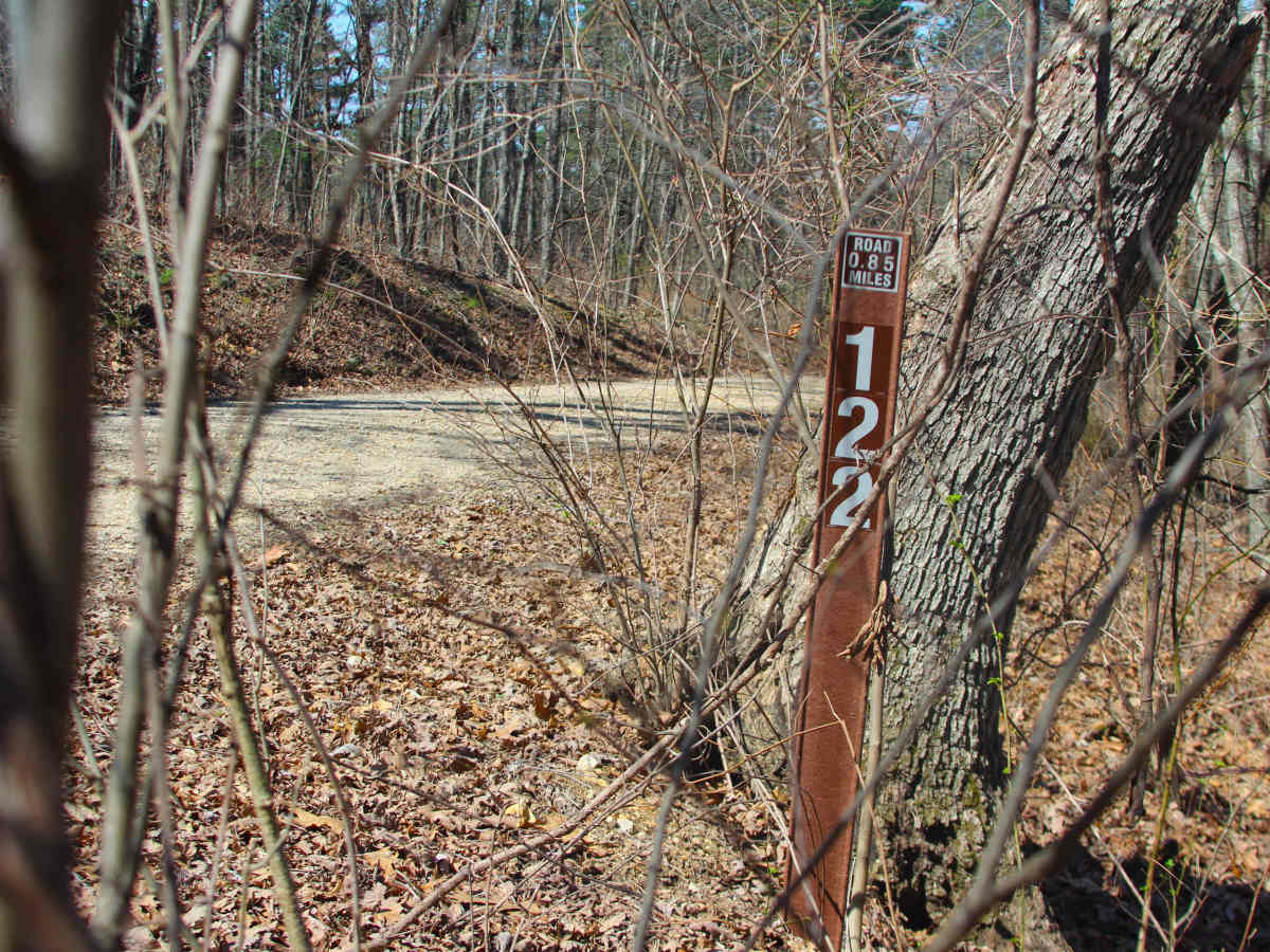 Overlook - FS 122 trail photo