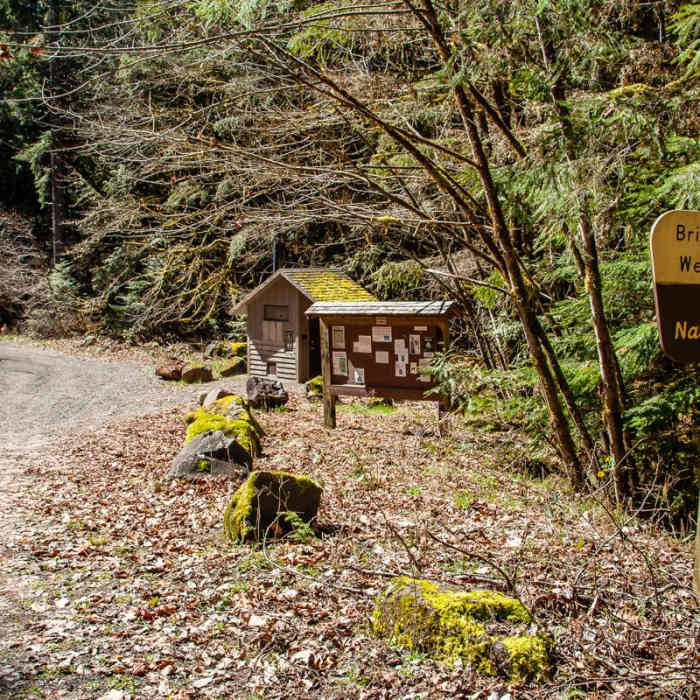 Near Brice Creek Trail, West Trailhead to Lund Campground Hike