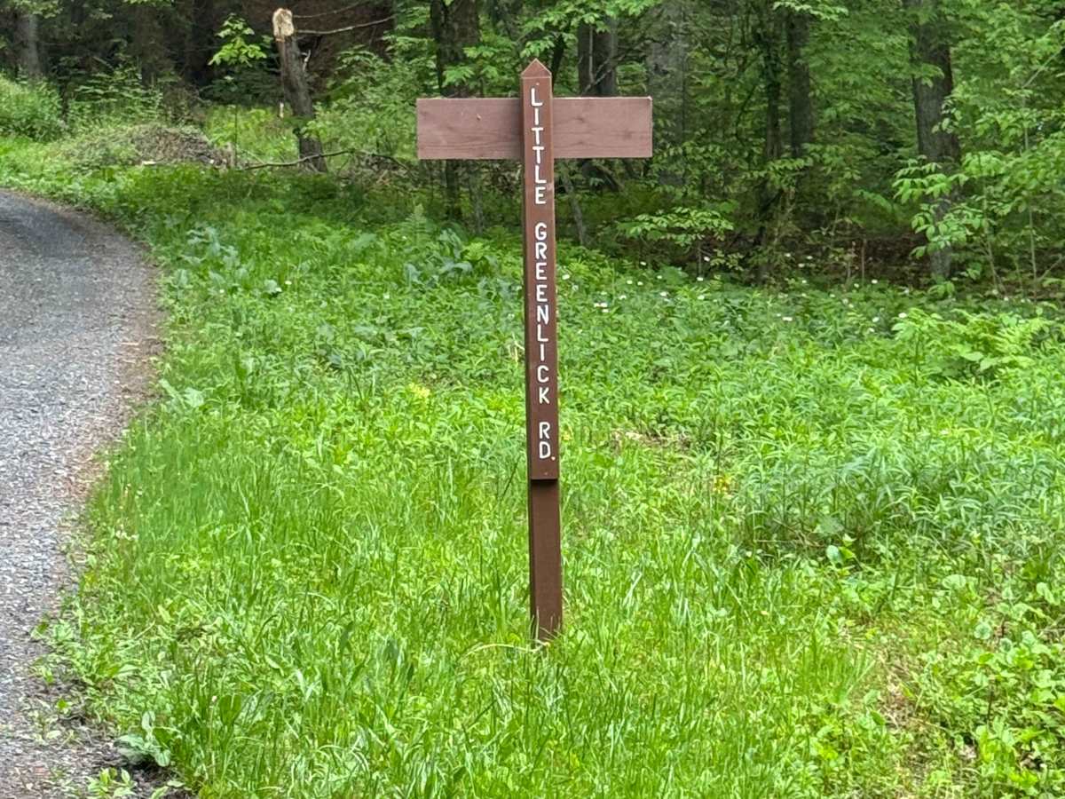 Little Greenlick Road trail photo