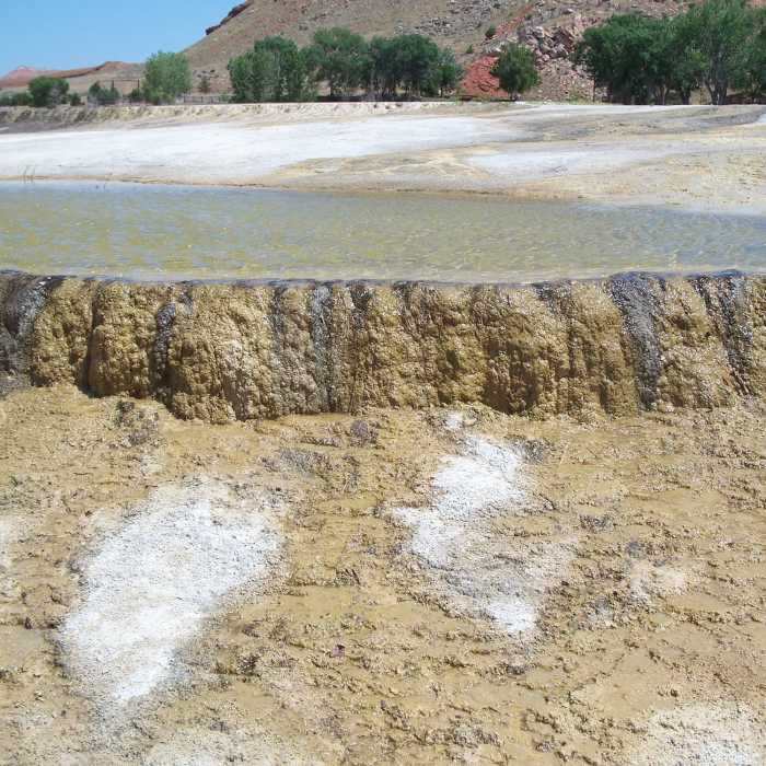 Near Rainbow Terraces Loop