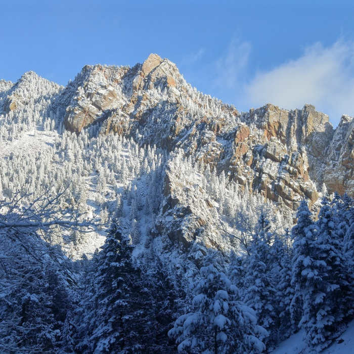 Near Rattlesnake Gulch Trail