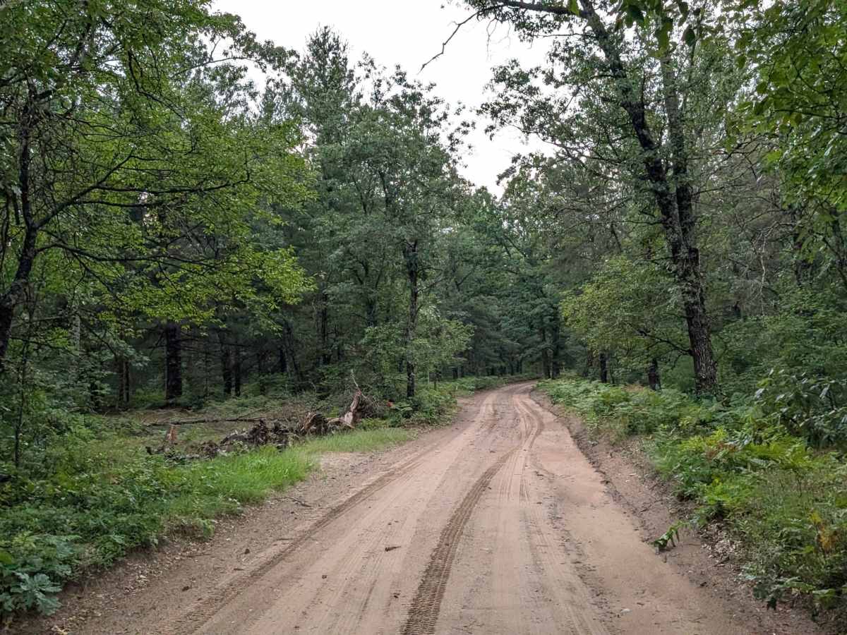 South Branch Pine River photo 4