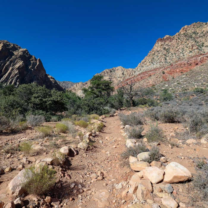 Near Sandstone Canyon Loop