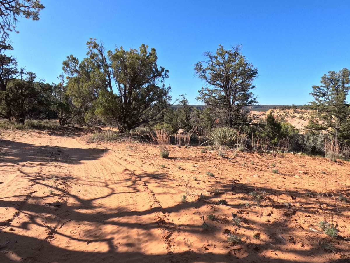 BLM 73P photo 5