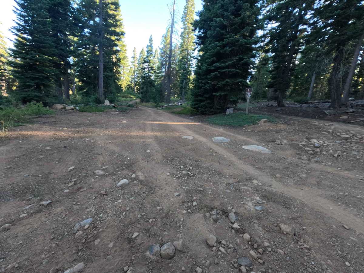 South Sagehen Creek - FS 0011-010 photo 2