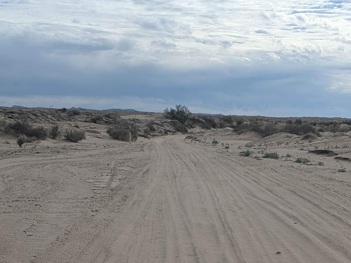 Eriogonum Wash 172 photo 3