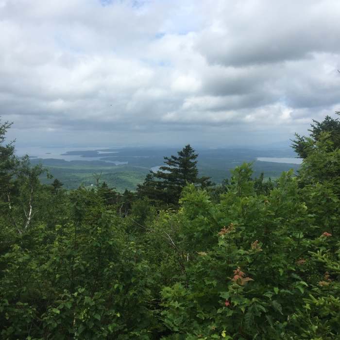 The view from the summit on a cloudy day. Near Copple Crown