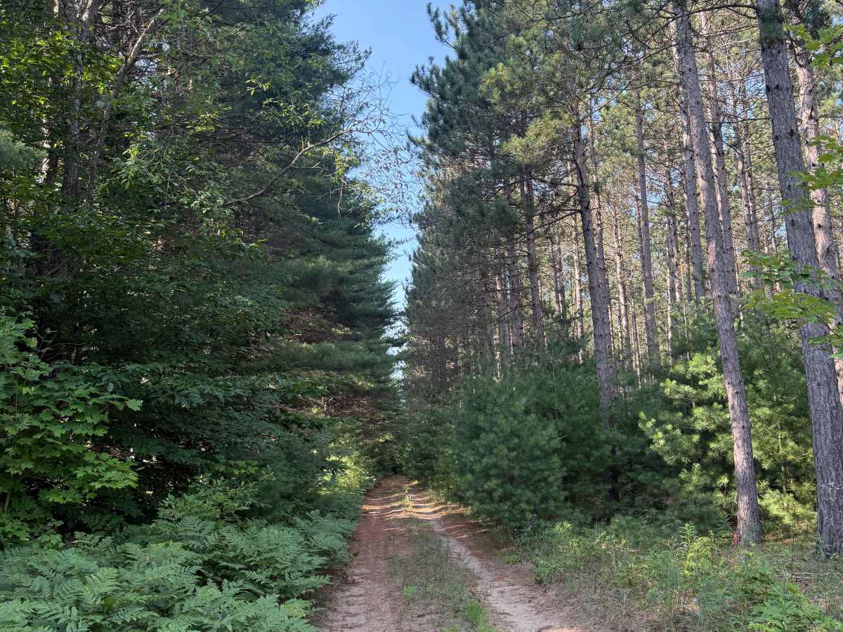 West Bear Creek Trail trail photo