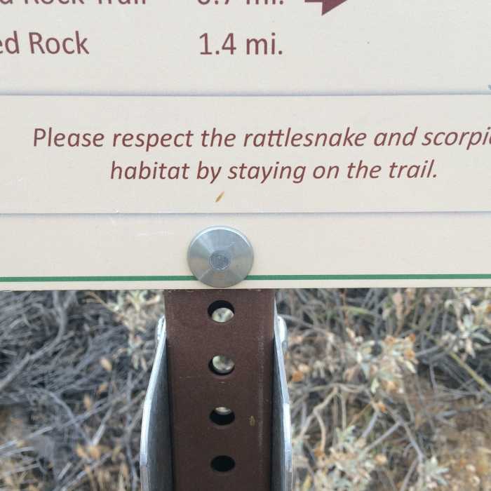 Nuff Said Near Cholla Mountain Loop Trail