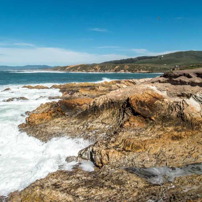 Near Bluff Trail Hike