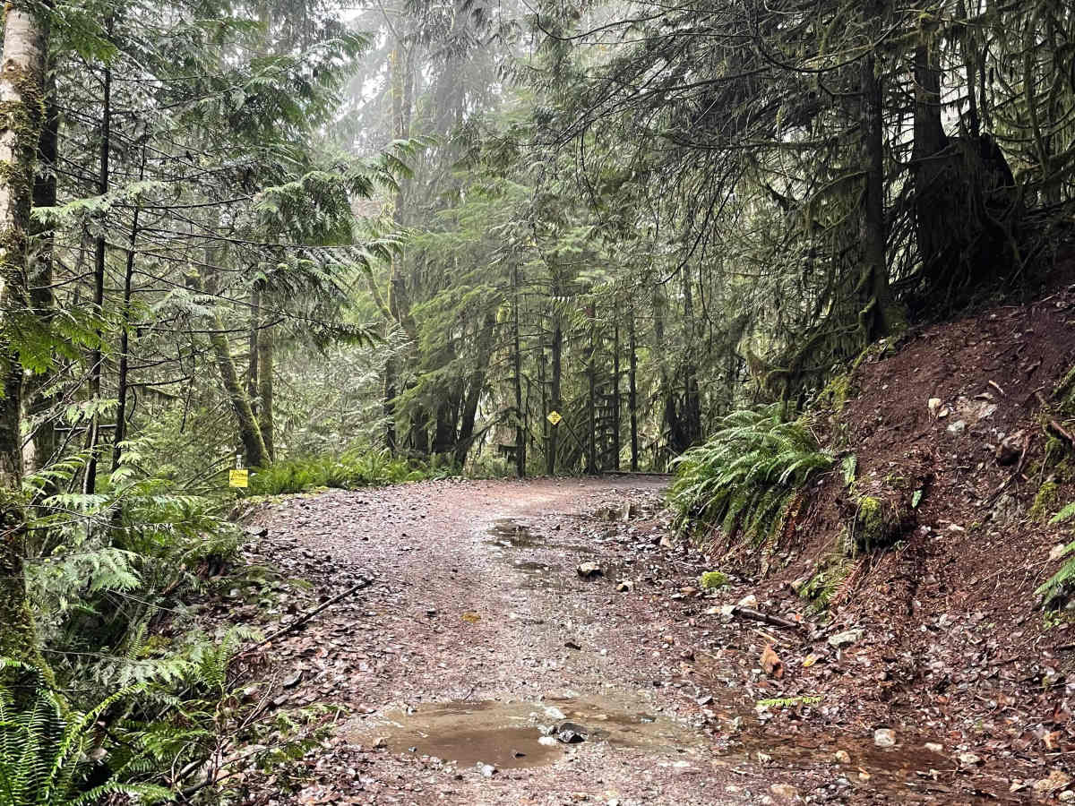 Ring Creek Rip photo 6