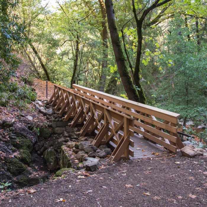 Near Waterfall Loop Nature Trail Near Waterfall Loop Nature Trail