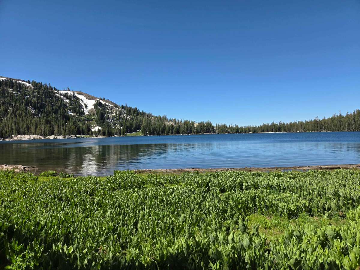 White Rock Lake trail photo