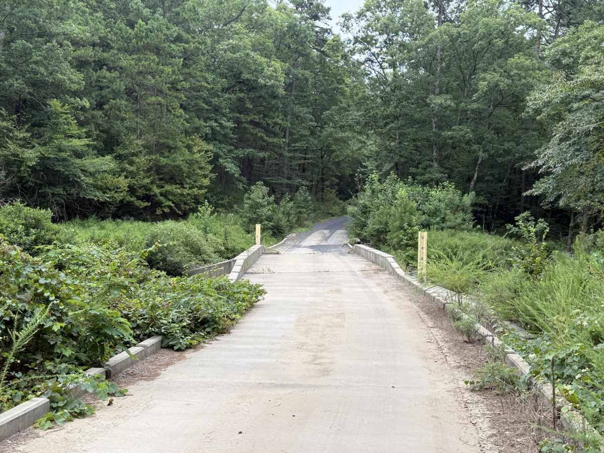 Polk County Road 633 trail photo