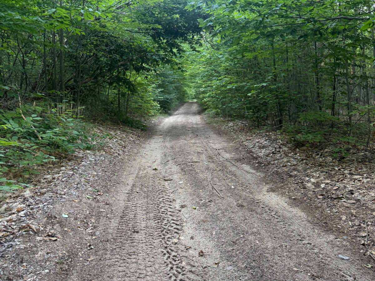 N 3 Trail photo 3