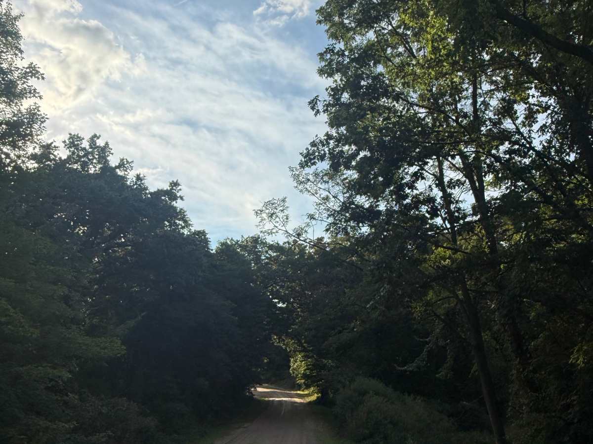Spears Trail photo 5