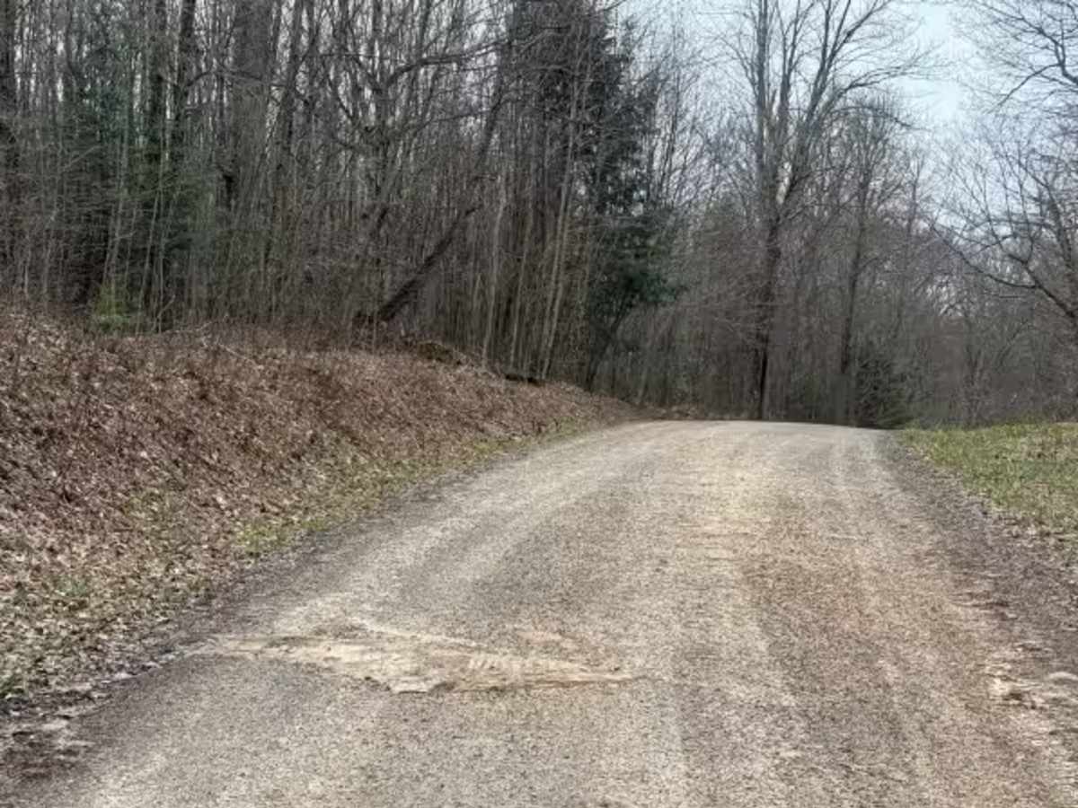 Hemlock Run - FS 267 photo 2