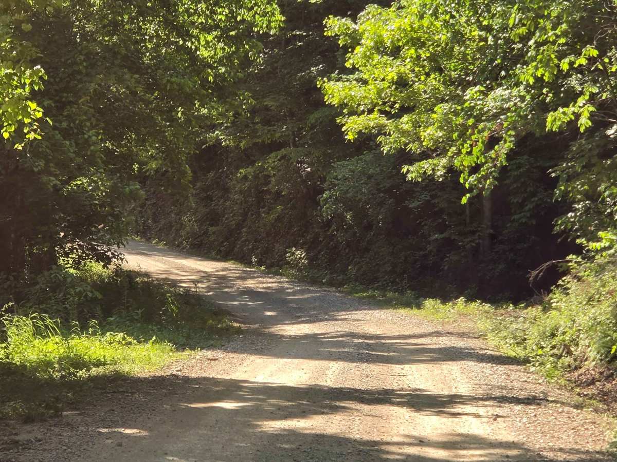 Newfound Road photo 4