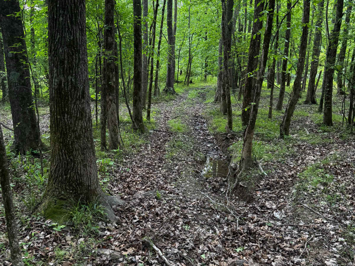 Hillside Trail photo 2