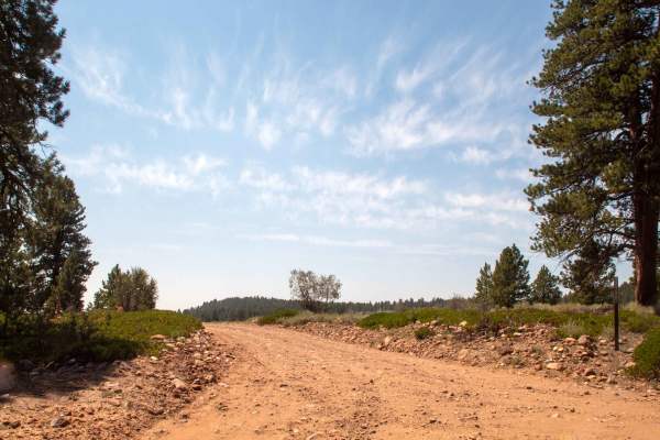 Burnt Mill Springs - FS 10232