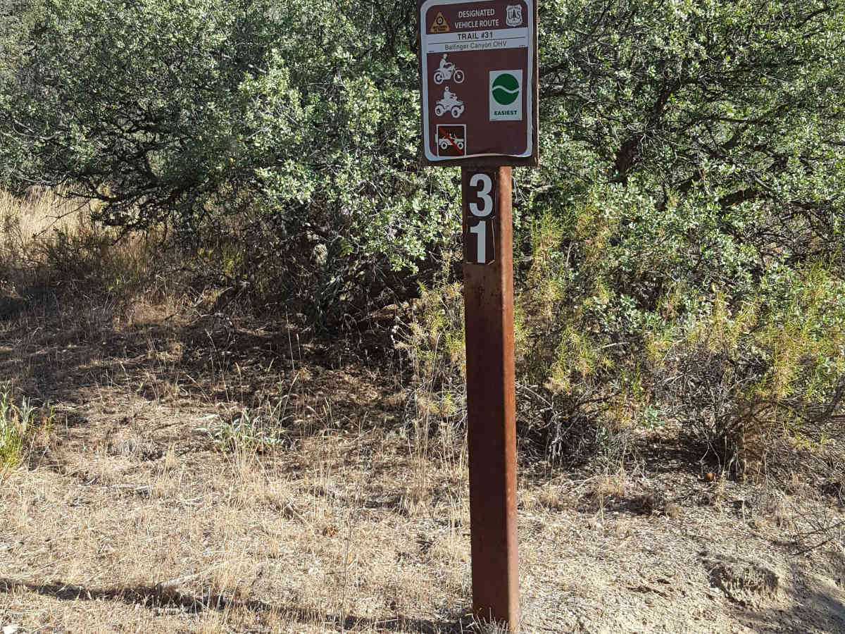 Trail 31 trail photo