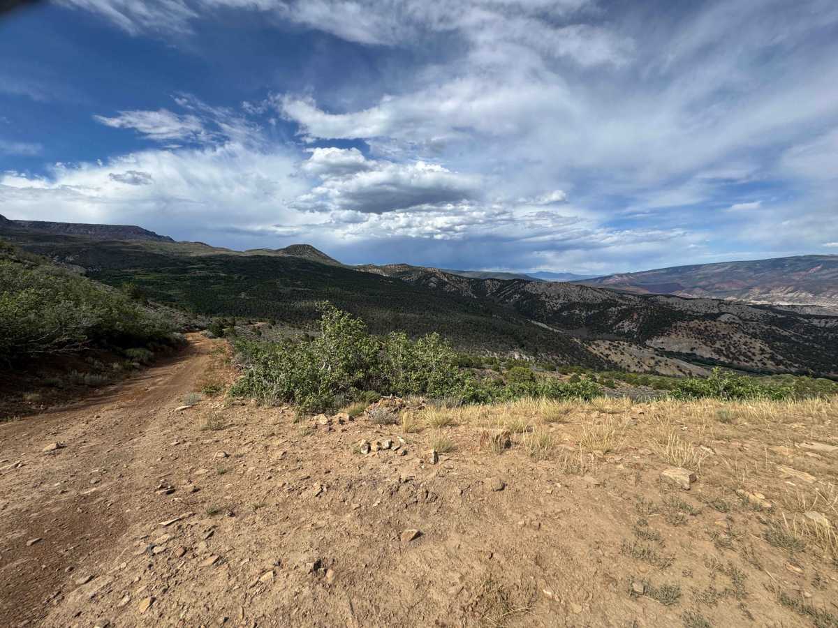 BLM 8452 photo 6