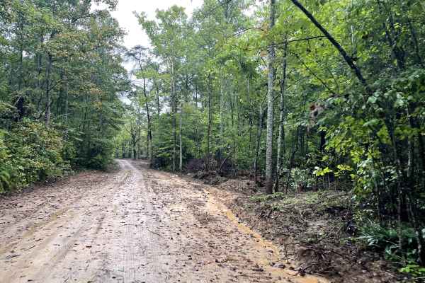 Myatt Creek Road 