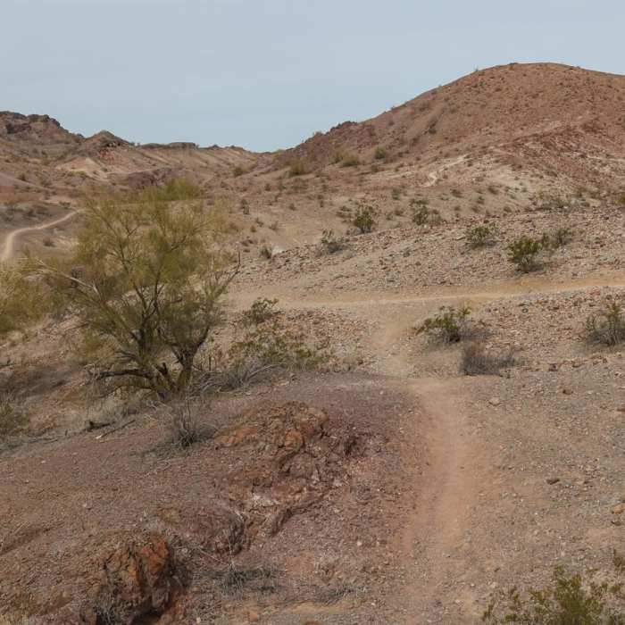 Near SARA Mountain-Wash Loop