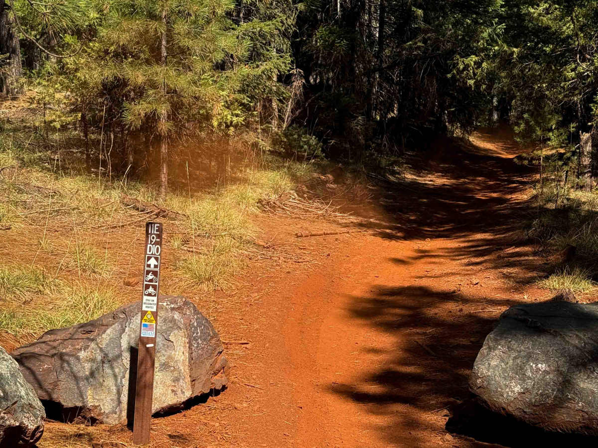 11E19-D10  trail photo