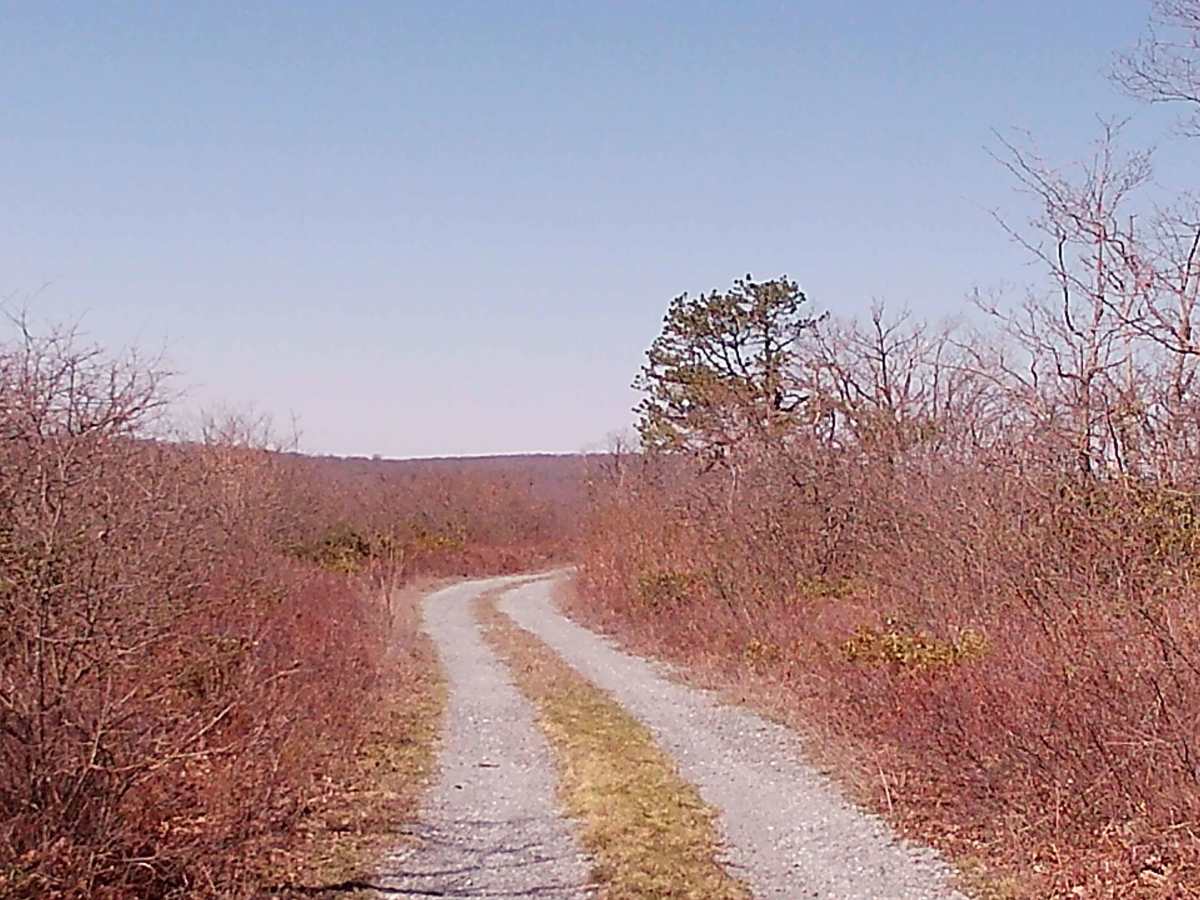 Rock Run Lane photo 4
