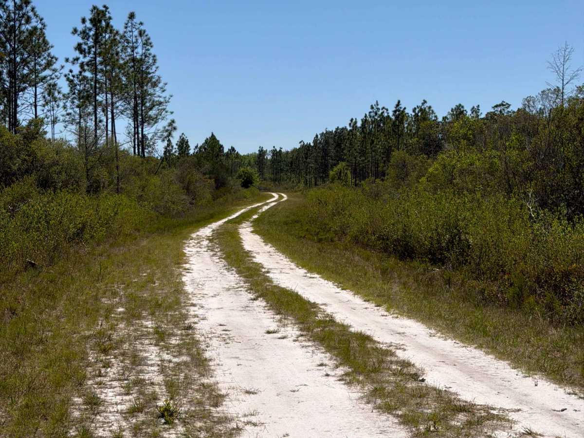 SFR 189 trail photo