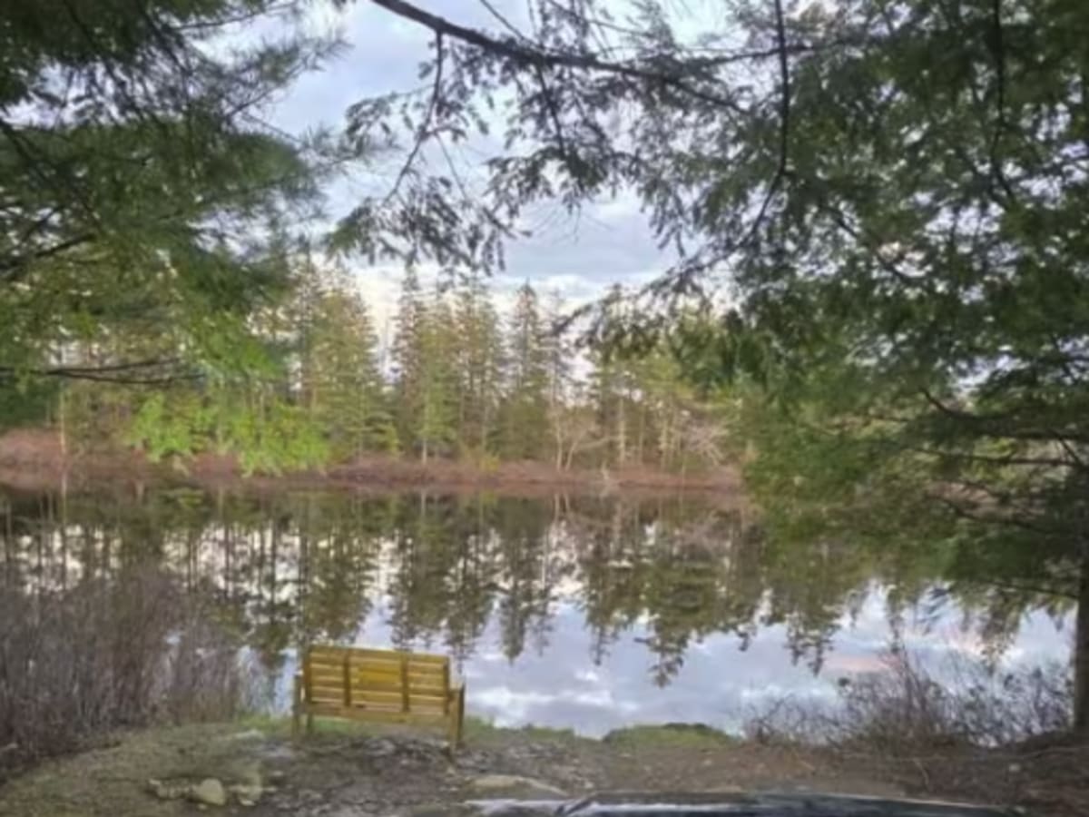 Sandy Lake Road to Golden Lake photo 3