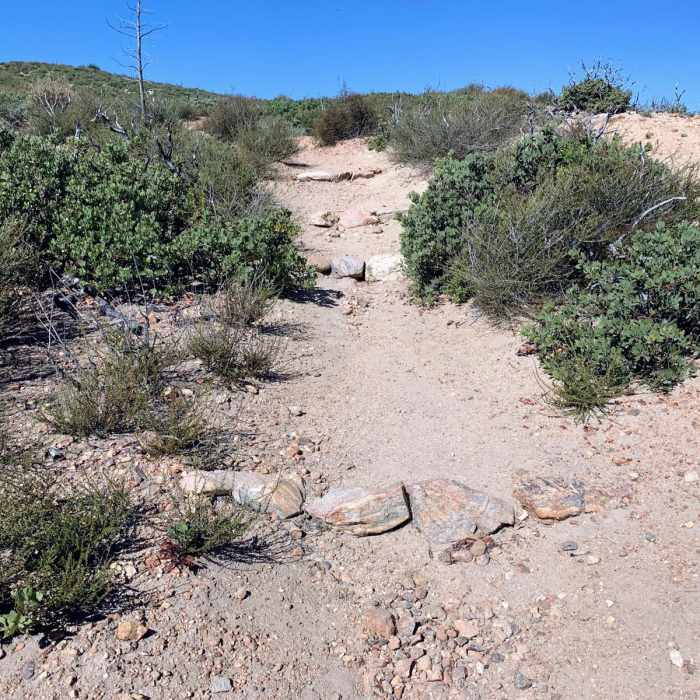 Near Lake Hughes to Sawmill Campground