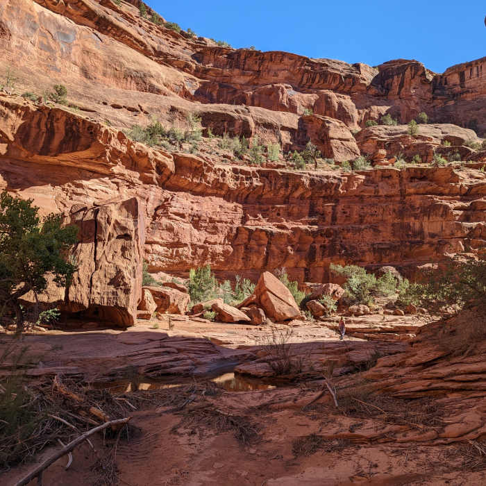 Near Hunter Canyon Trail Out and Back