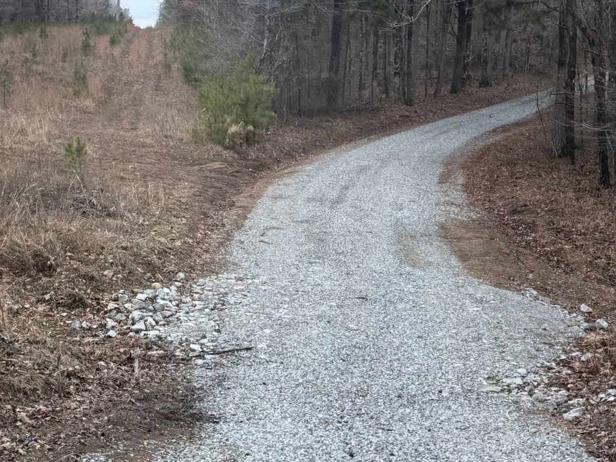 Log Lick Hollow photo 2
