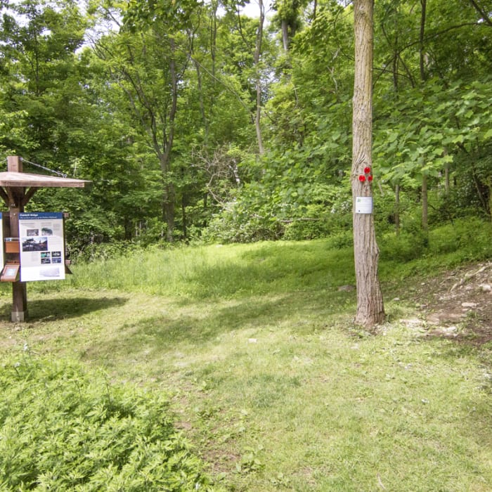 Near Overlook Trail to Lambs Hill