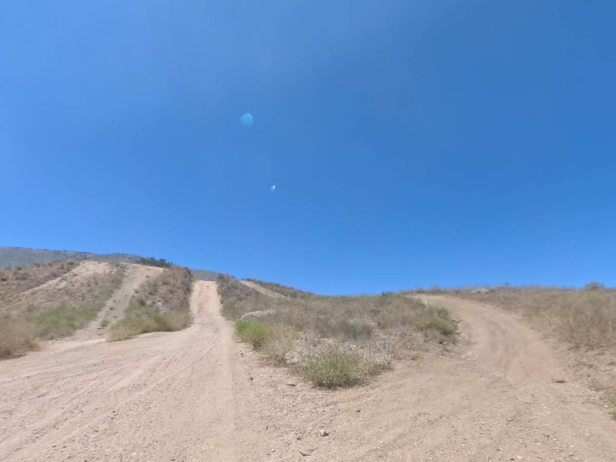 Meadows Trail - Upper Segment photo 6