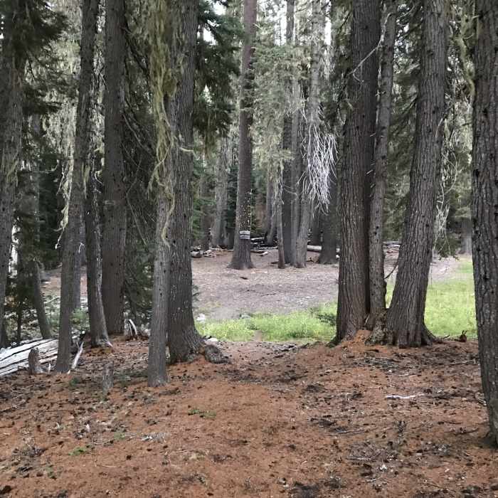 Near Stanshaw Trail