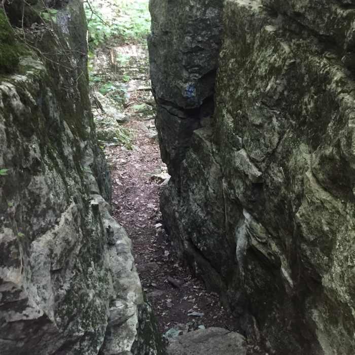 Near Panther Knob Trail