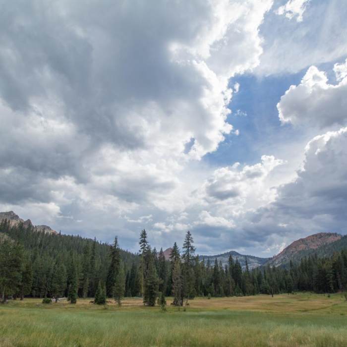 Near Horseshoe + Ward Lakes via Swift Creek Trail