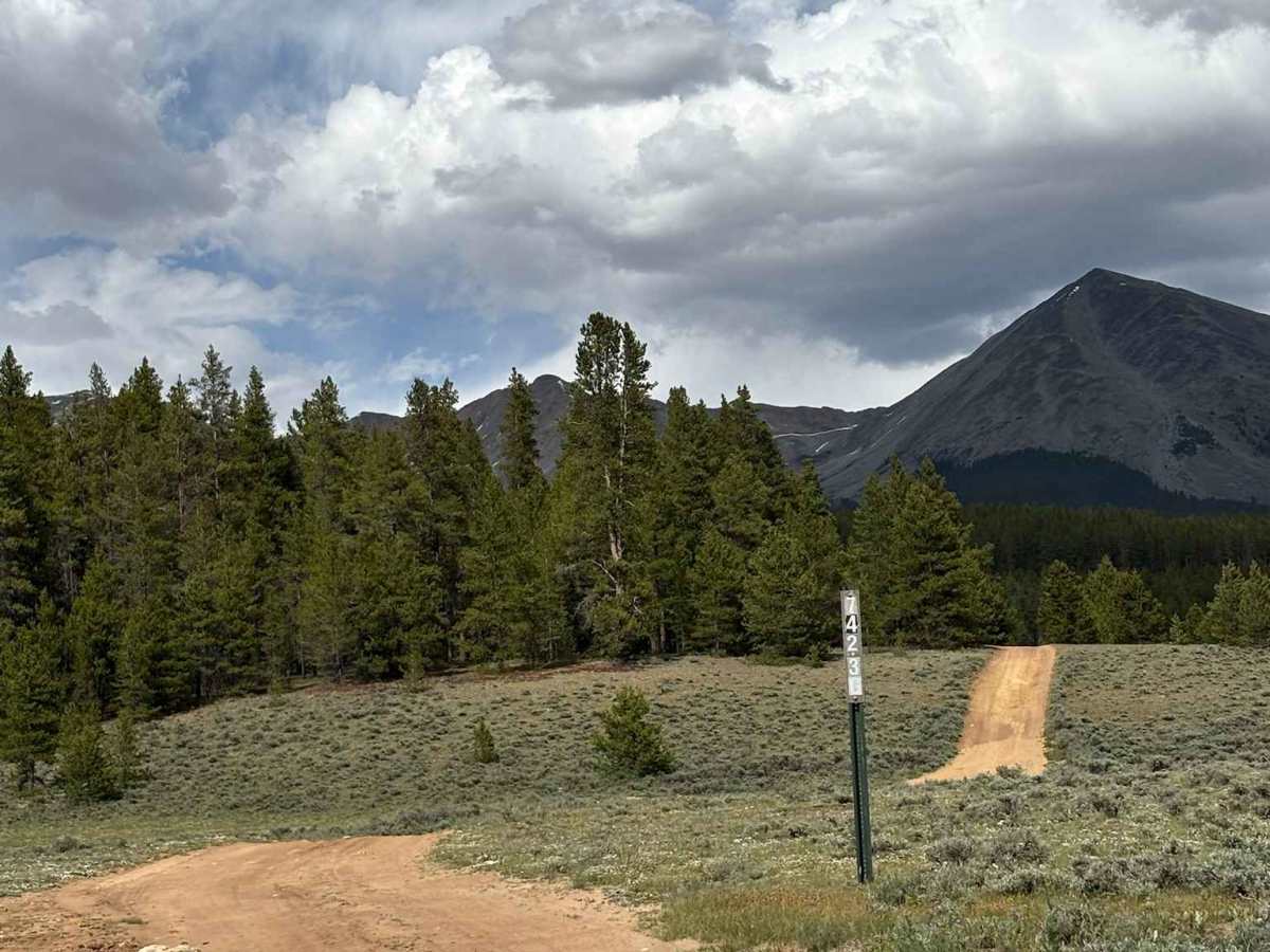 North Taylor Sp Road photo 3
