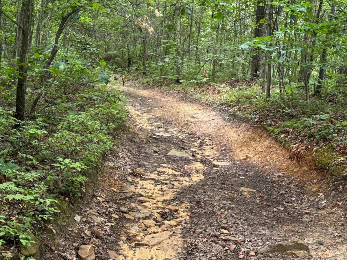 Trail 12 photo 6